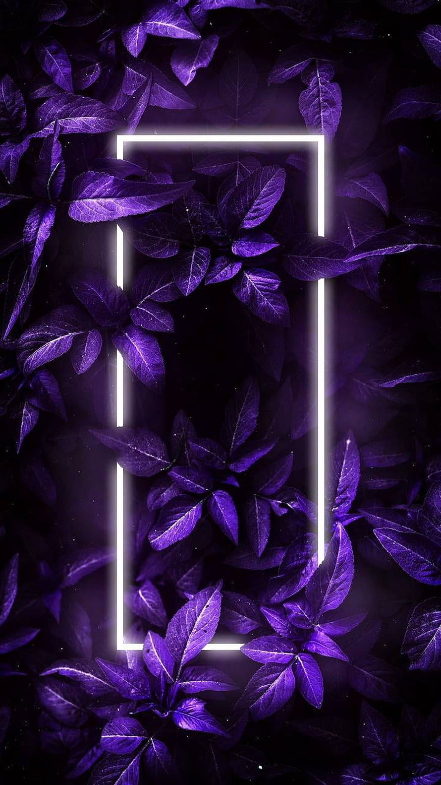 Dark Purple Foliage with Glowing White Neon Rectangle Frame HD phone wallpaper