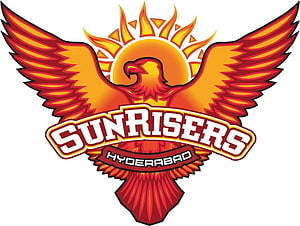 Sunrisers Hyderabad Cricket Team Logo With Fiery Eagle And Rising Sun Emblem HD wallpaper