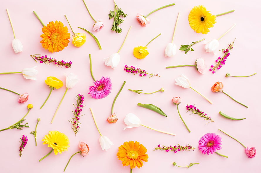 Scattered Spring Flowers Flat Lay on Soft Pink Background HD wallpaper