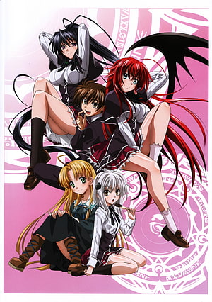 Highschool DxD Anime Group Art with Five Characters on Pink Background HD phone wallpaper