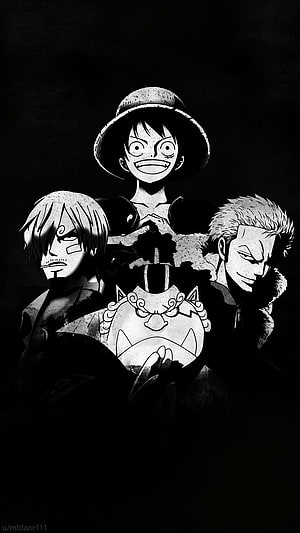 One Piece Black and White Anime Artwork Featuring Luffy, Sanji, and Zoro in High Contrast Style HD phone wallpaper