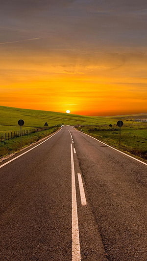Empty Country Road Stretching Toward a Golden Sunset Over Rolling Green Hills HD phone wallpaper