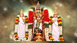 Tirumala Kalyana Venkateswara Swamy Temple Deity with Flower Garlands HD wallpaper