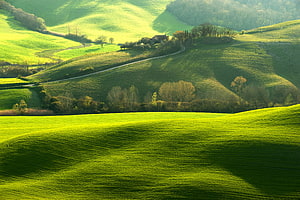 Rolling Green Hills and Pastoral Countryside Landscape HD wallpaper