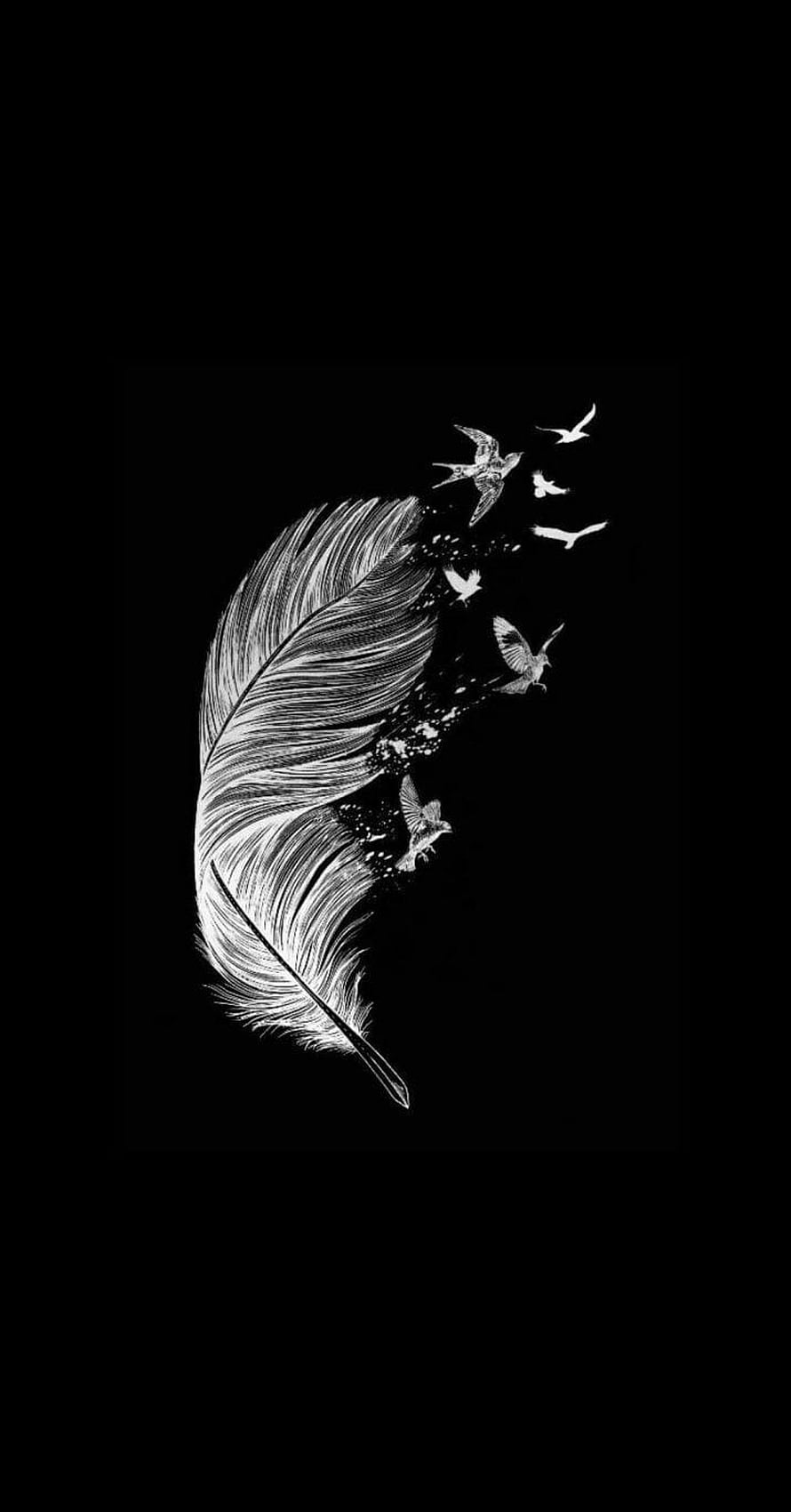 White Feather Dissolving Into Flying Birds on Black Background HD phone wallpaper
