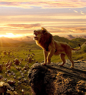 Simba Roaring on Pride Rock at Sunset in The Lion King HD phone wallpaper