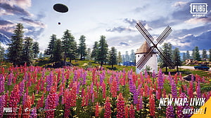 PUBG Mobile Livik Map Scenic Landscape With Windmill And Flower Field HD wallpaper