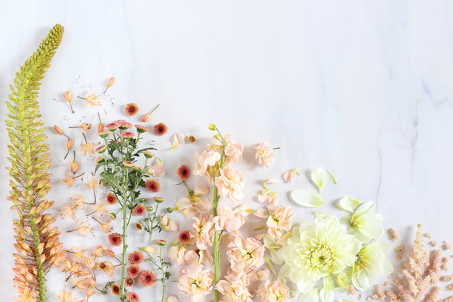 Pastel Floral Flat Lay on White Marble Surface with Dried Blooms and Greenery HD wallpaper