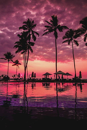 Tropical Sunset Over Palm Trees and Infinity Pool at a Beach Resort HD phone wallpaper