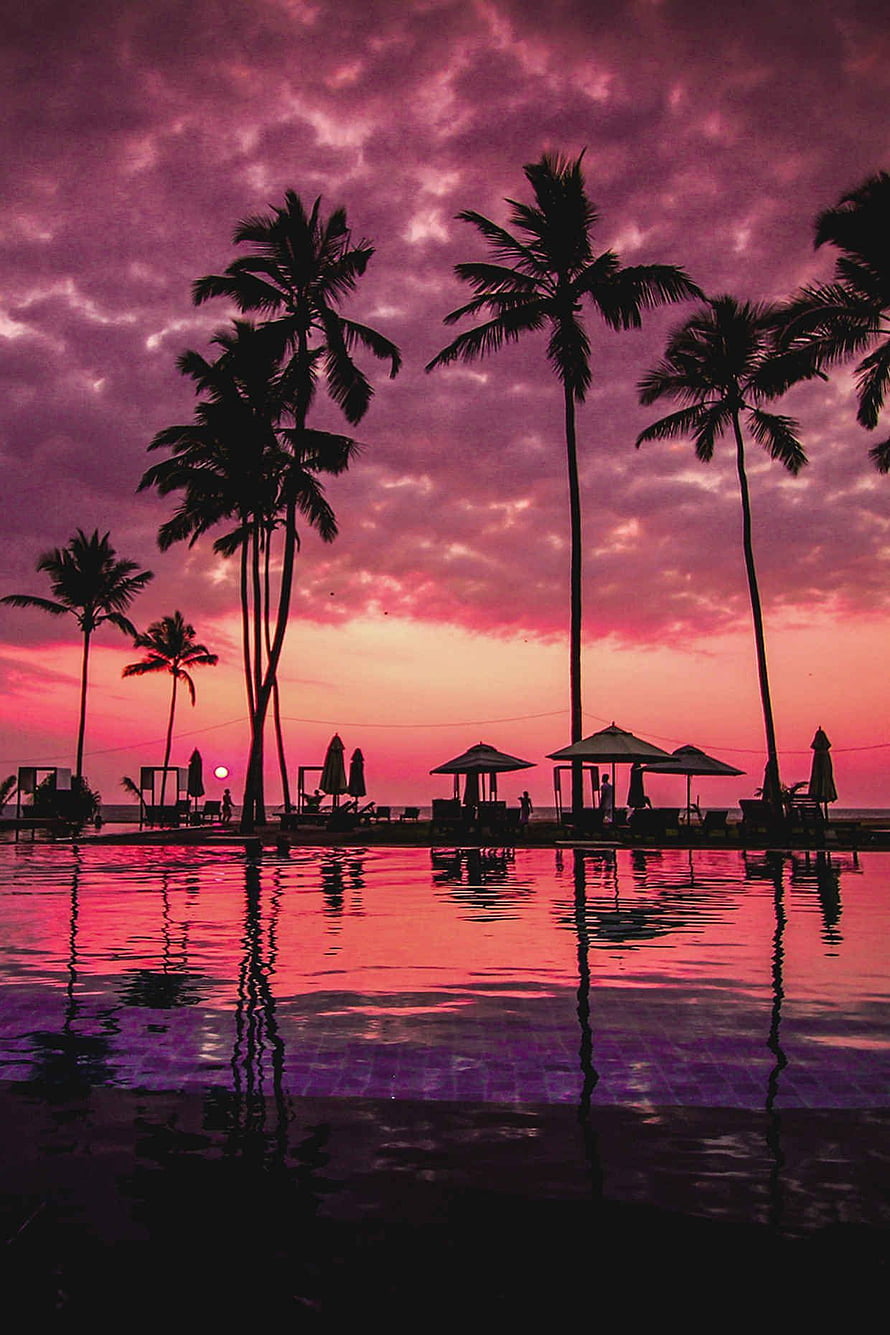 Tropical Sunset Over Palm Trees and Infinity Pool at a Beach Resort HD phone wallpaper