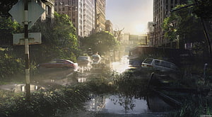 The Last of Us Overgrown City Street with Abandoned Cars and Sunlight HD wallpaper