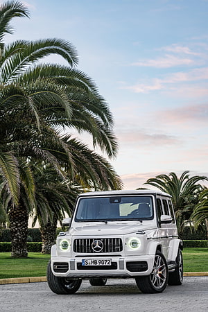 White Mercedes-AMG G63 SUV Parked on Cobblestone with Palm Trees at Sunset HD phone wallpaper