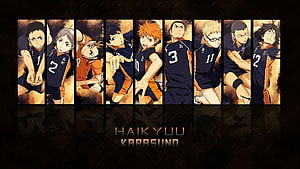 Haikyuu Karasuno Team Roster Anime Character Lineup Wallpaper HD wallpaper