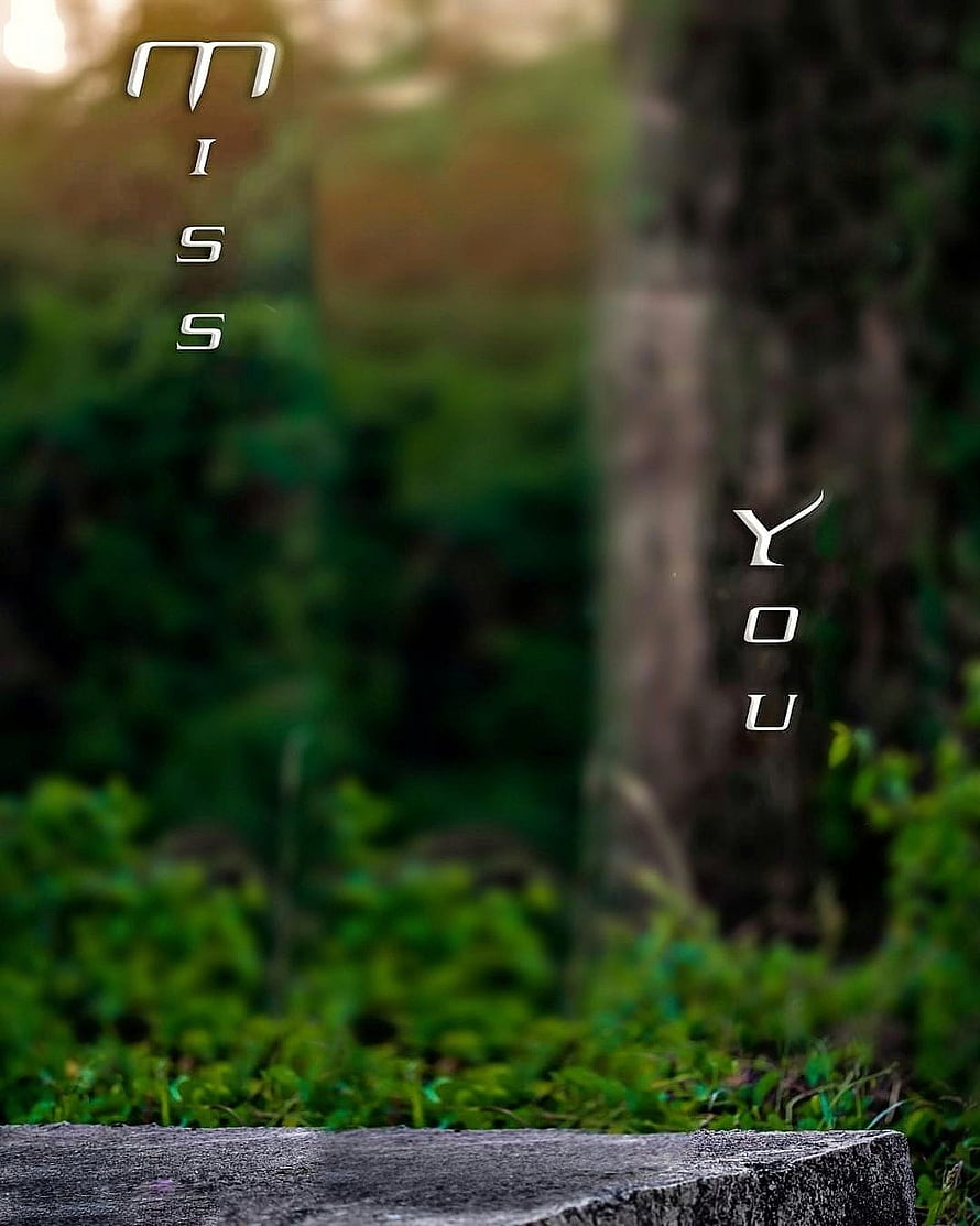 Emotional Forest Scene with Vertical Text Overlay and Soft Bokeh HD phone wallpaper