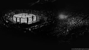 UFC Octagon Fight Night in a Darkened Arena with Massive Crowd HD wallpaper
