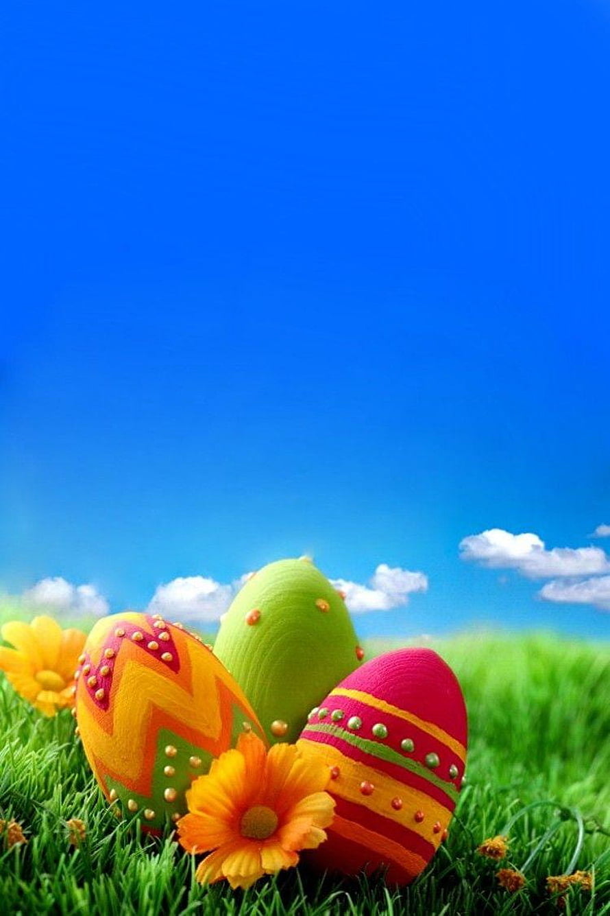 Colorful decorated Easter eggs nestled in green grass with bright orange flowers under a clear blue sky HD phone wallpaper
