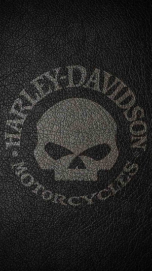 Harley-Davidson Skull Emblem on Black Leather Texture HD phone wallpaper