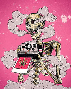 Stoner Aesthetic Skeleton Holding Vintage Camera and Cannabis Leaf Print on Pink Background HD phone wallpaper