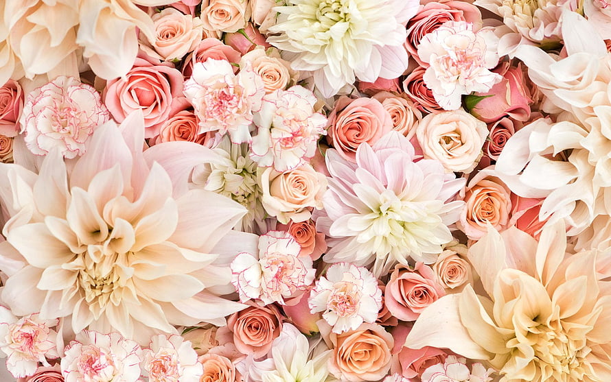 Soft Pastel Floral Arrangement with Roses, Carnations, and Daisies in Blush and Cream Tones HD wallpaper
