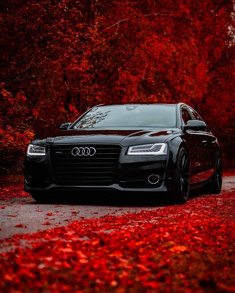 Black Audi A8 Sedan Parked on Autumn Road with Red Foliage Background HD phone wallpaper