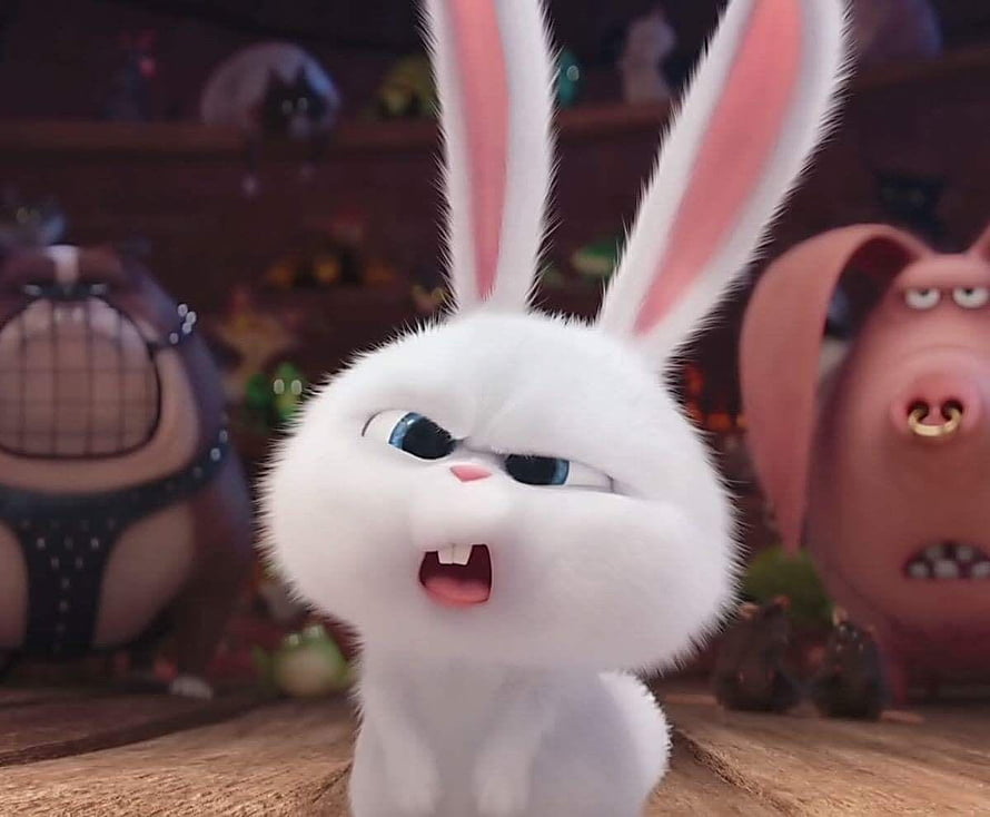 Snowball the White Rabbit from Zootopia with a Grumpy Expression HD wallpaper