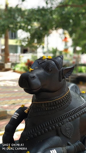 Ornate Black Nandi Bull Statue with Floral Offerings in a Temple Courtyard HD phone wallpaper