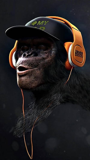 Chimpanzee Wearing Orange Headphones and Black Cap on Dark Background HD phone wallpaper