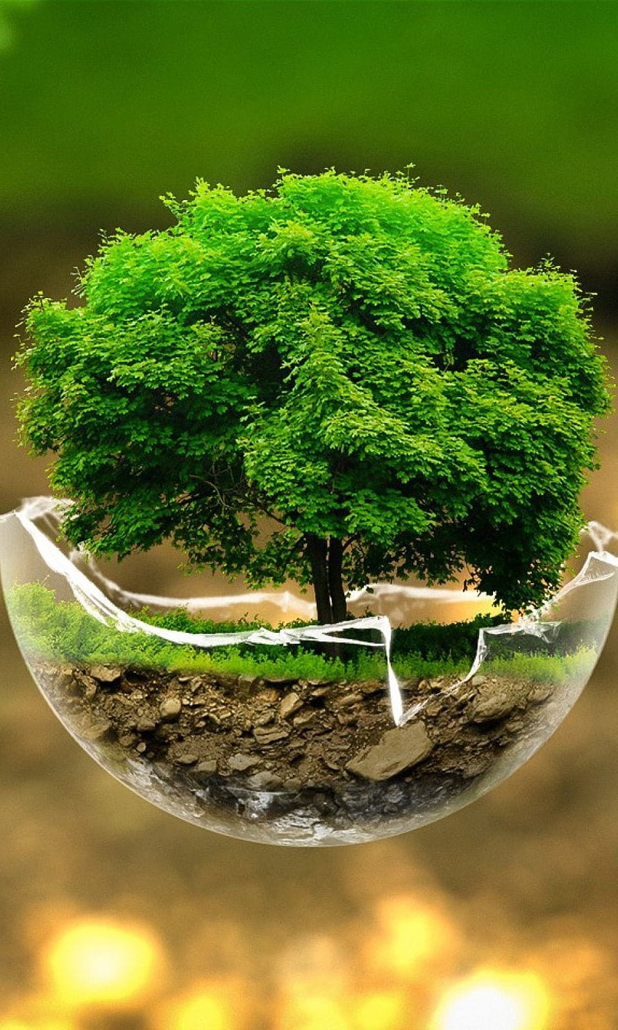 Lush Green Tree Growing From a Cracked Glass Sphere with Exposed Soil Layers HD phone wallpaper