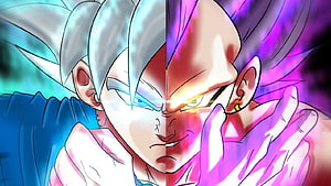 Dragon Ball Dimensions Ultra Ego Vegeta Split Face Anime Illustration HD wallpaper