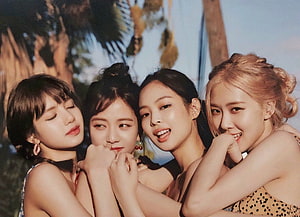 Blackpink Members Cuddling Together in Tropical Palm Tree Setting HD wallpaper