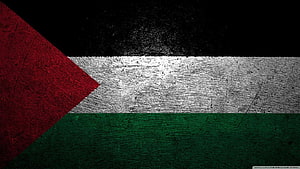 Grunge Textured Palestine Flag With Black White Green And Red Colors HD wallpaper