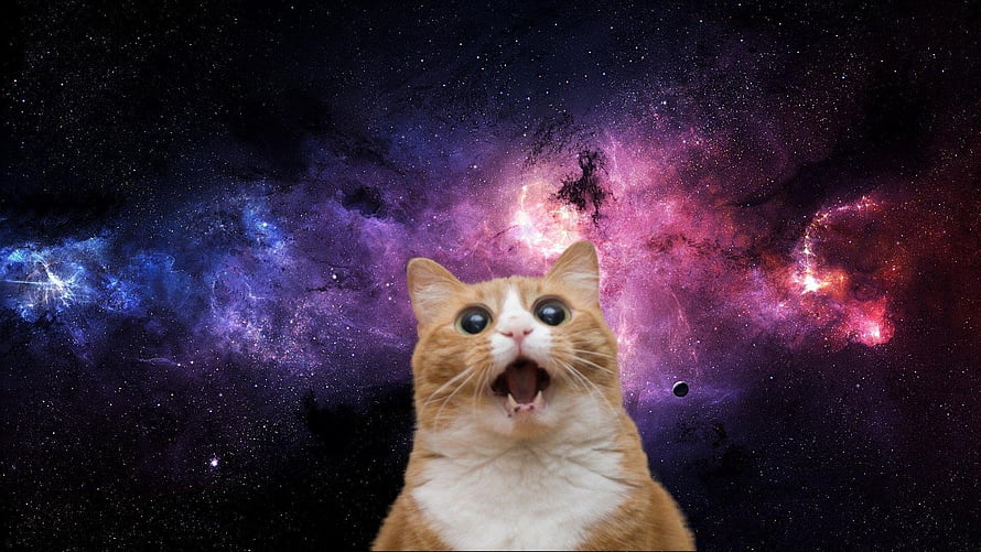 Surprised Orange Tabby Cat Against Vibrant Purple and Blue Cosmic Nebula Background HD wallpaper