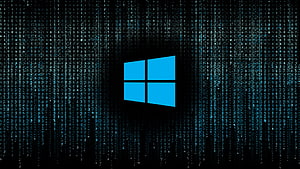 Windows 10 Logo Centered Against a Digital Matrix Code Rain Background HD wallpaper