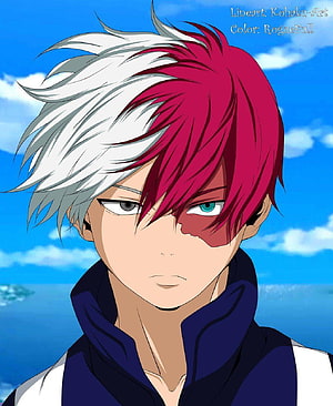 Shouto Todoroki from My Hero Academia with Half White and Red Hair HD phone wallpaper