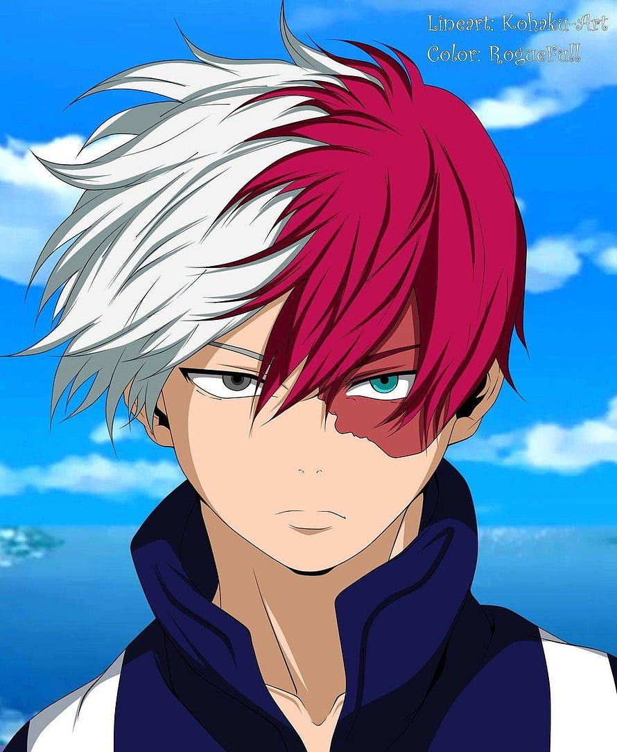 Shouto Todoroki from My Hero Academia with Half White and Red Hair HD phone wallpaper