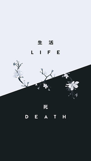Minimalist Japanese Kanji Life and Death Design with Cherry Blossoms HD phone wallpaper