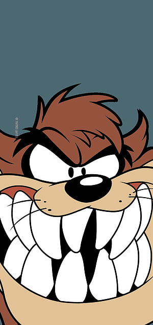 Taz the Tasmanian Devil Close-Up Cartoon Portrait with Fierce Grin HD phone wallpaper