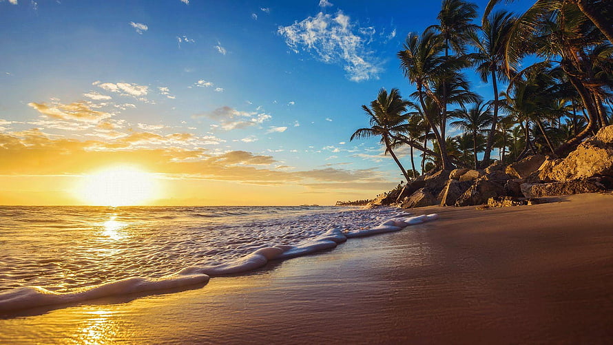 Golden Sunset Over Tropical Beach With Leaning Palm Trees And Gentle Ocean Waves HD wallpaper