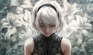 2B from NieR Automata in a monochrome floral field with white hair and black lace top HD wallpaper