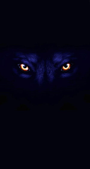 Glowing Amber Eyes of a Dark Wolf Emerging from Deep Shadow HD phone wallpaper