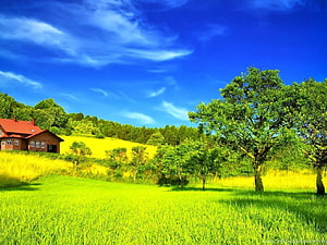 Vibrant Countryside Landscape With Red Roof Cottage And Lush Green Fields Under Blue Sky HD wallpaper
