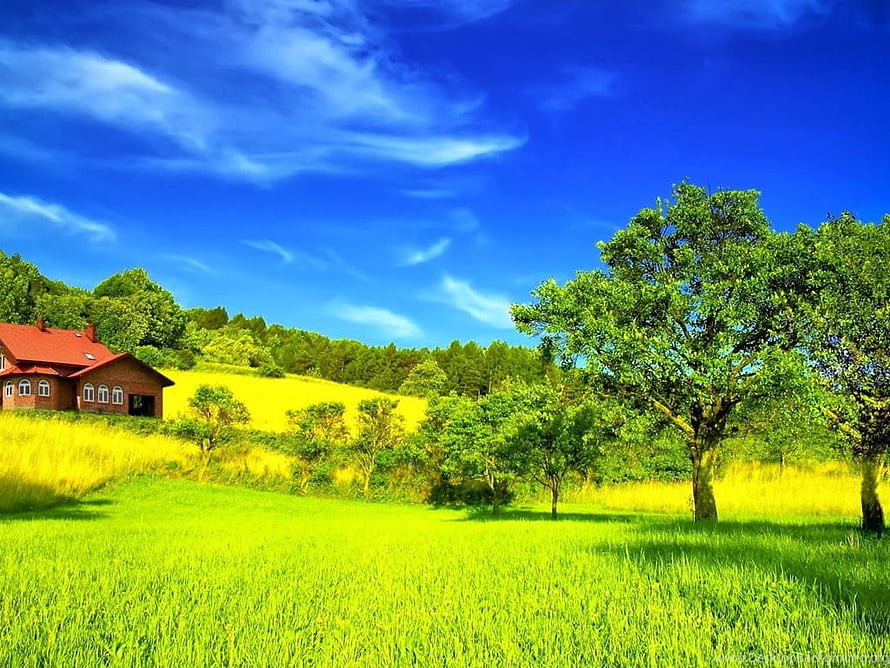 Vibrant Countryside Landscape With Red Roof Cottage And Lush Green Fields Under Blue Sky HD wallpaper