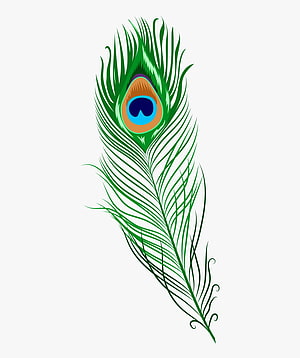 Stylized Green Peacock Feather Illustration with Eye Pattern on White Background HD phone wallpaper