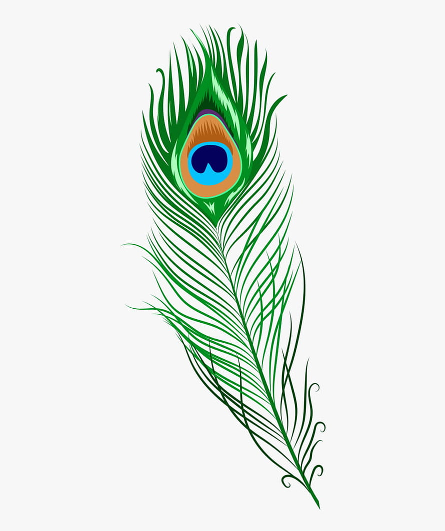 Stylized Green Peacock Feather Illustration with Eye Pattern on White Background HD phone wallpaper