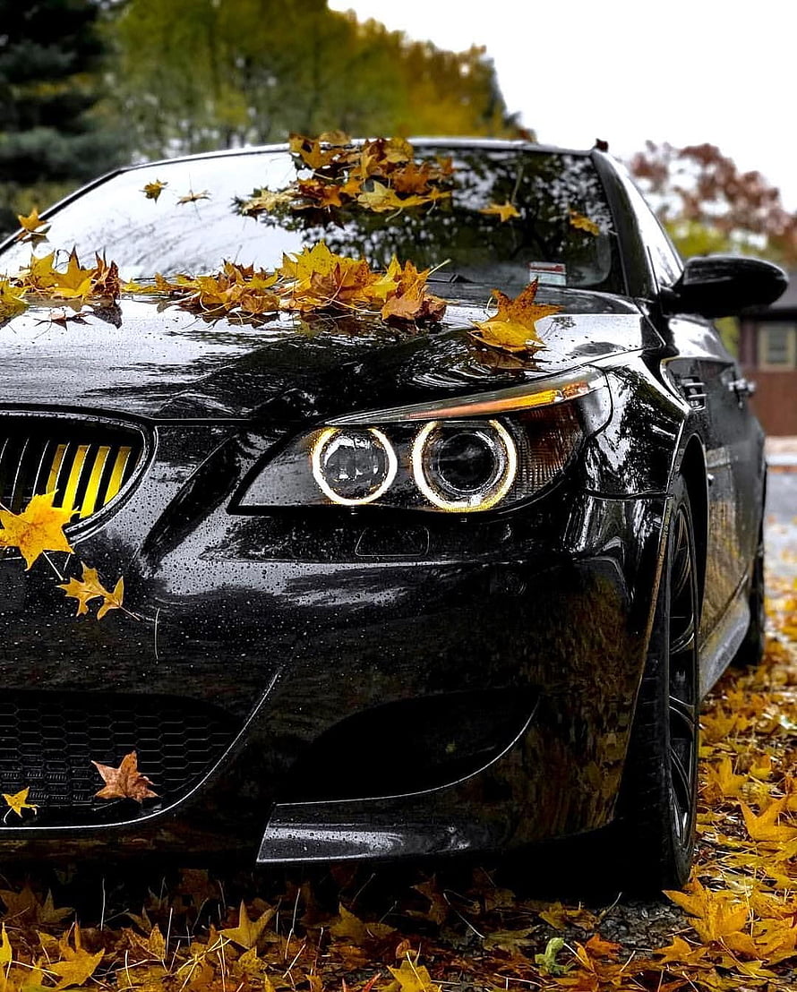 Black BMW M5 E60 Sedan Parked in Autumn Leaves with Wet Paint Finish HD phone wallpaper