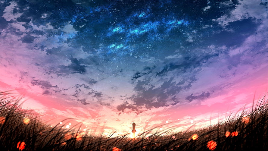 Anime Girl Silhouette in a Starry Field at Sunset with Pink and Blue Sky HD wallpaper