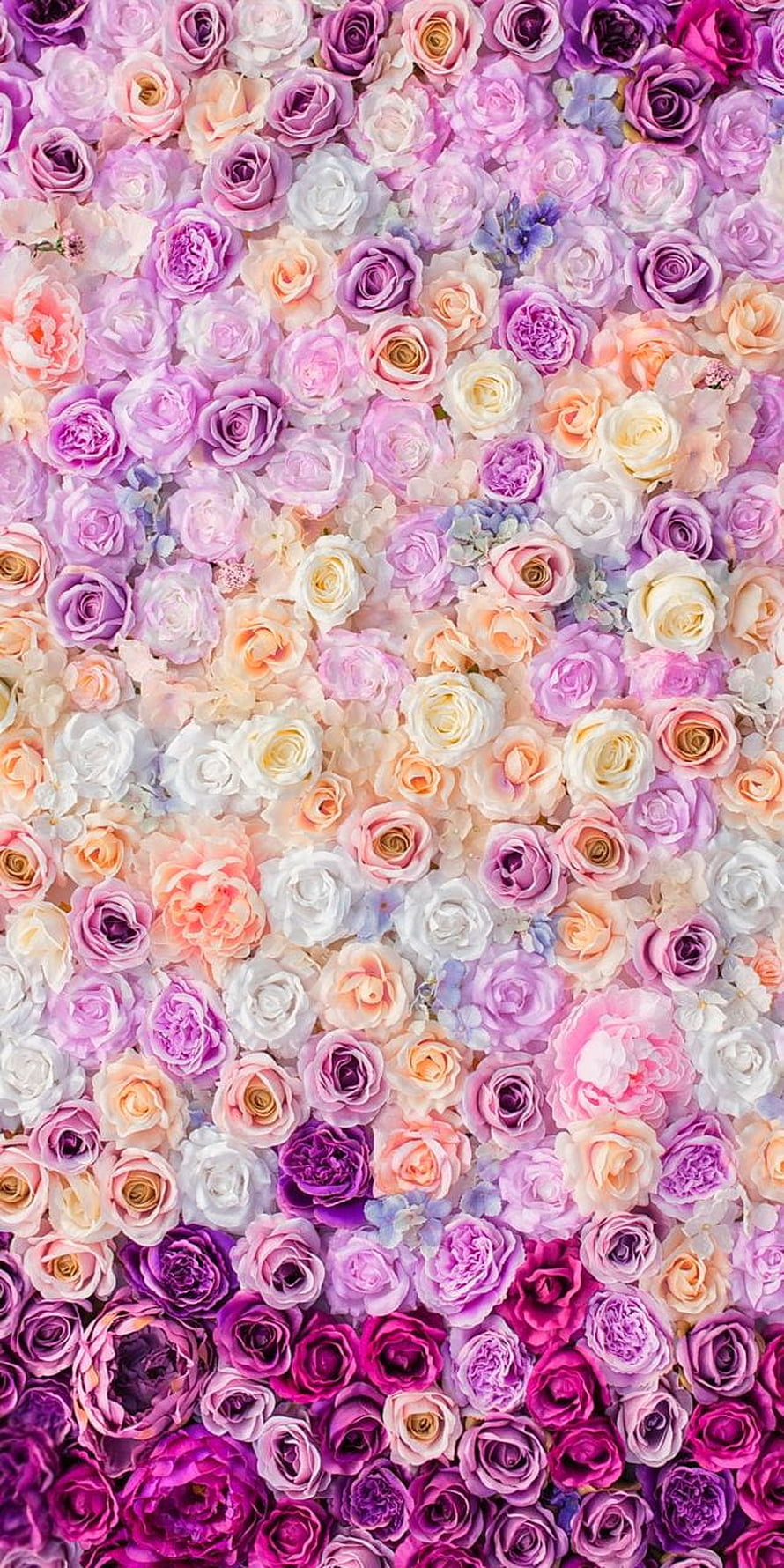 Pastel Rose Garden Wall With Soft Pink, Purple, and White Blooms in a Vintage Floral Arrangement HD phone wallpaper