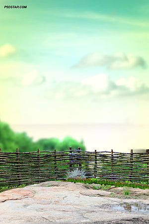 Rustic Willow Fence Along a Rocky Shoreline with Soft Green Sky and Distant Water HD phone wallpaper