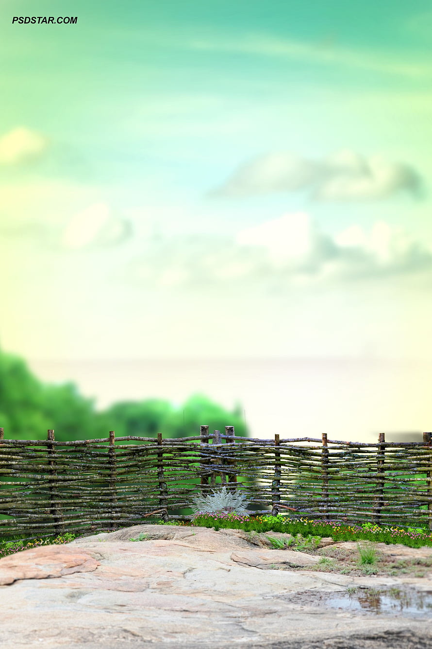 Rustic Willow Fence Along a Rocky Shoreline with Soft Green Sky and Distant Water HD phone wallpaper