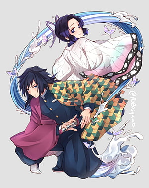 Demon Slayer Shinobu and Giyuu Anime Character Illustration with Butterfly Motifs HD phone wallpaper